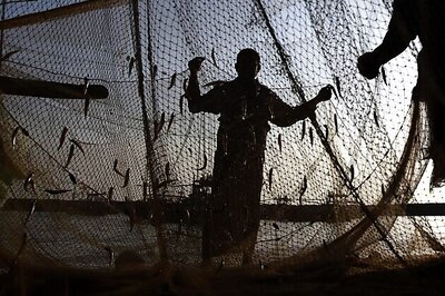 Five arrested fishermen beaten up by Sri Lankan naval personnel