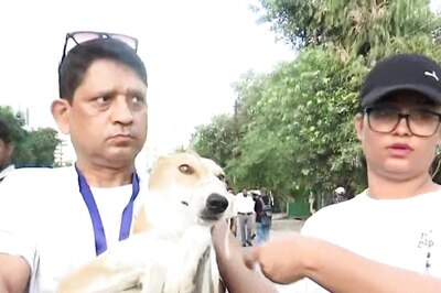 Mission 'Dog Evacuation' at Noida Twin Towers After 5,000+ Residents Moved