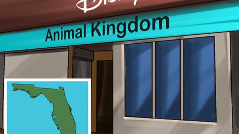 How to Choose a Vacation Destination for Animal Lovers