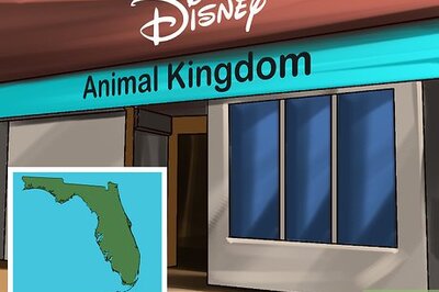 How to Choose a Vacation Destination for Animal Lovers