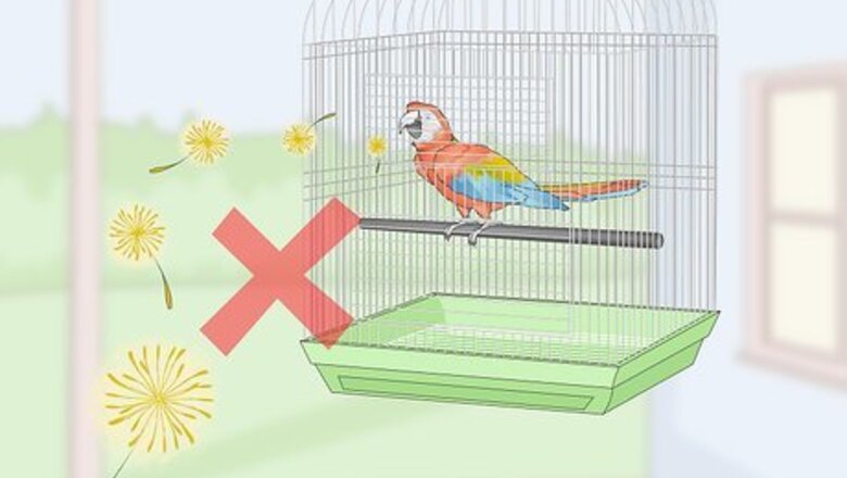 How to Treat Allergies in Macaws