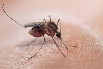India Ranked Fourth in Global Malaria Cases in 2017, States Lancet Journal