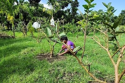 This Siliguri Man’s Backyard Is A Garden With A Difference