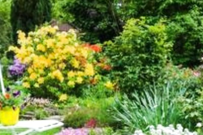 Tips On How You Can Always Keep Your Garden Green And Beautiful Throughout The Year