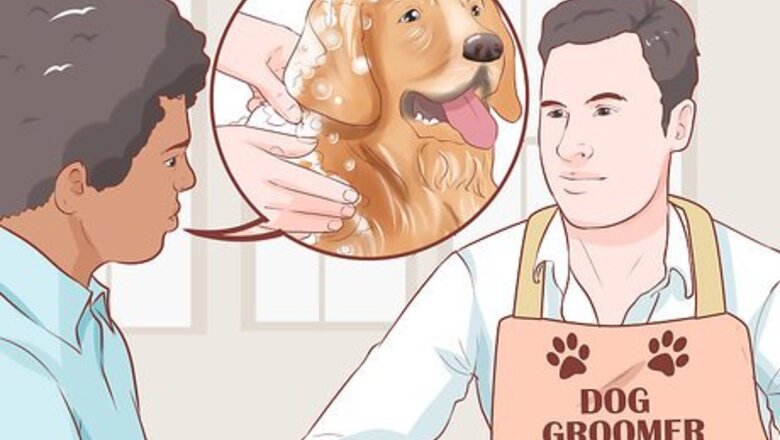 How to Groom Your Dog at Home Between Professional Groomings