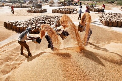 Wheat Export Ban: DGFT Asks Authorities To Issue Registration of Contracts To Exporters; Check Details