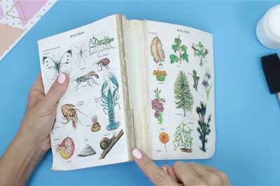 How to Repair a Paperback Book