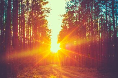 Aaj Ka Panchang, January 29, 2024: Tithi, Vrat, and Today’s Shubh, Ashubh Muhurat