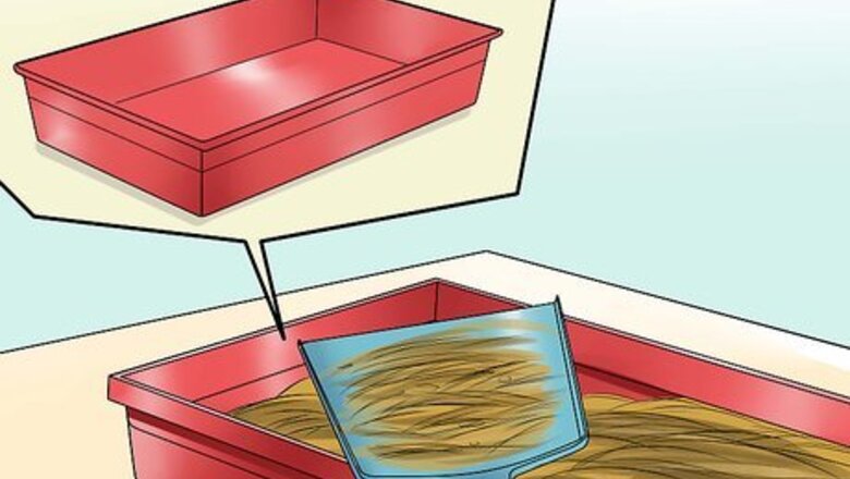 How to Prevent Sore Hocks in Rabbits