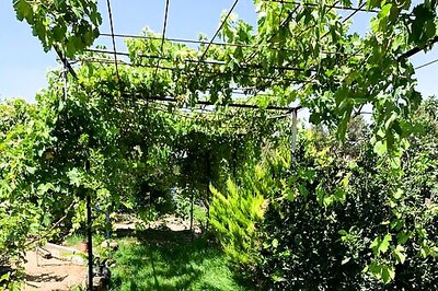 DIARY: In Gaza, Bombs Drop And The Conflict Again Hits Home