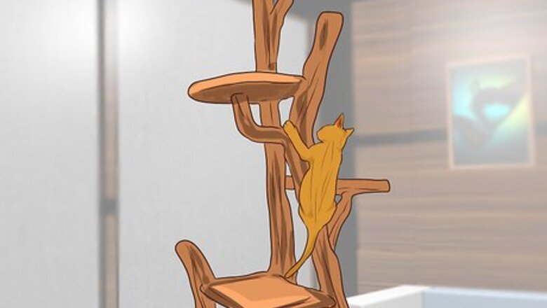 How to Stop a Kitten from Jumping Onto High Places