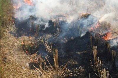 Stubble Burning: Kejriwal Charges Neighbouring States of Not Taking Action to Support Farmers
