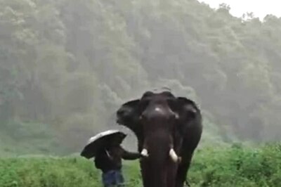 This Heartwarming Monsoon Video Of Elephant And Mahout Will Brighten Your Day