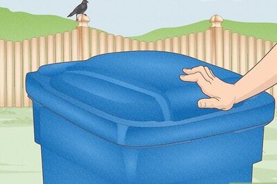 How to Get Rid of Crows