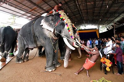 Kerala Government to Distribute 'Onam' Kits to Tribal Families