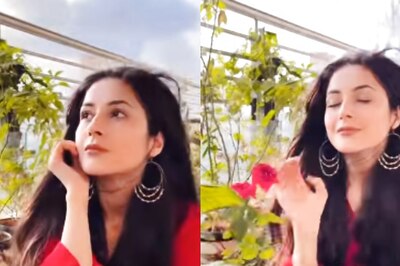 Shehnaaz Gill Sends Instagram into Frenzy As She Dances to Viral Pakistani Song 'Pasoori'; Watch