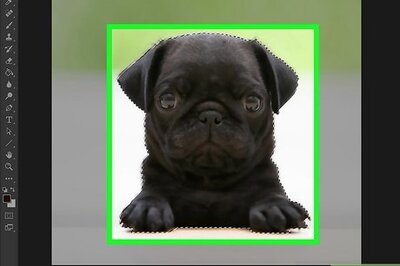 How to Separate an Image from Its Background (Photoshop)