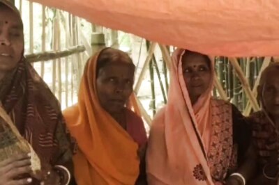 Begusarai Farmer, Ploughing His Field, Finds Lord Shiva Statue; Villagers Plan To Make Shrine