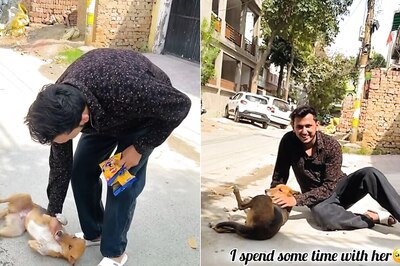 Watch: Puppy Meets Her Favourite Human After 8 Months, Her Reaction Is Priceless