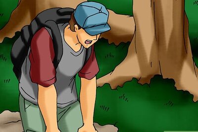 How to Survive Being Lost in the Forest