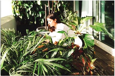 Anushka Sharma Spends Saturday Morning with Green Buddies in Her Balcony