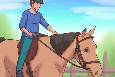 How to Teach a Horse to Neck Rein