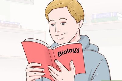 How to Become an Equine Veterinarian