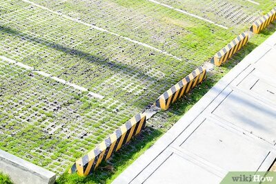 How to Fry an Egg on the Sidewalk