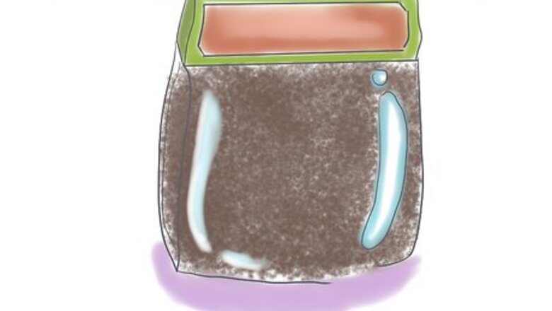 How to Grow Rue