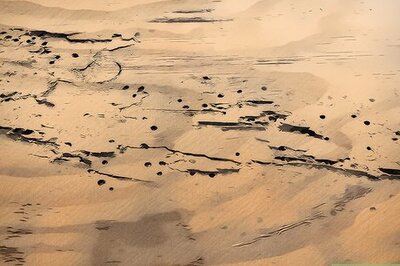 How to Treat Woodworm