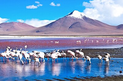 Travel Trends 2018: From Desert Destinations to One-day Vacays