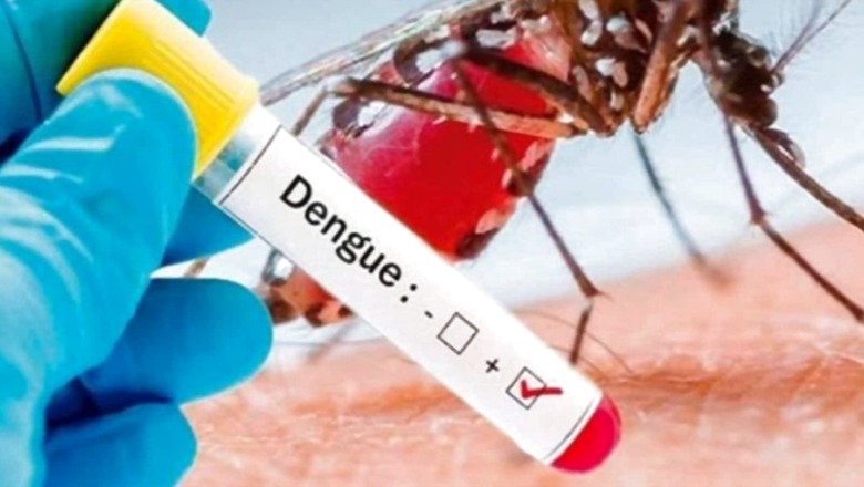 That Stings! Dengue Outbreak in Delhi; 2022 Sees Highest Cases Since 2018, Shows Data