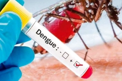 That Stings! Dengue Outbreak in Delhi; 2022 Sees Highest Cases Since 2018, Shows Data