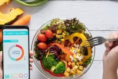 Can The CICO Help You With Weight Loss? Here Is What You Need To Know
