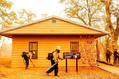 Fighting Fire With Fire To Protect Ancient Sequoia Trees