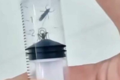 This ‘Mosquito Torture Chamber’ Video Fails To Get Support Online