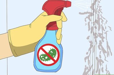 How to Reduce Mold Spores in the Air