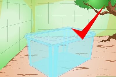 How to Build a Cat House