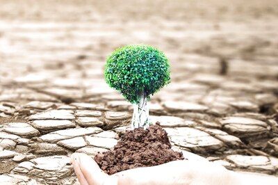 World Day to Combat Desertification and Drought 2022: Theme, History and Significance