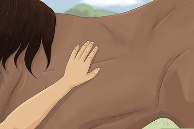 How to Get Your Horse to Trust and Respect You
