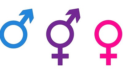 Collaborating for Change: Partnerships between Government, NGOs, and the LGBTQ+ Community to Drive Toilet Inclusivity Initiatives