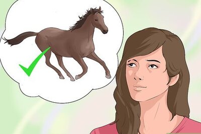 How to Barrel Race
