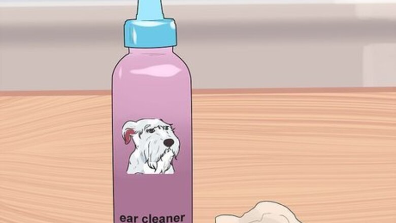 How to Clean a Terrier's Ears