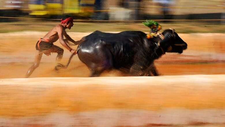 Karnataka Assembly Passes Bill to Allow Kambala