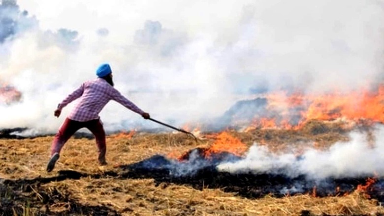 Delhi’s Toxic Air: People Paying for Collective Failure of Those in Charge of the Situation
