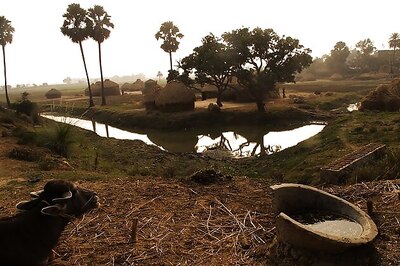 US university honours IIT graduate for his work in rural development