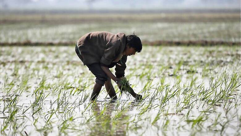 Govt Disburses Rs 15,841 Crore to 7.92 Crore Farmers Under PM-KISAN During COVID-19 Lockdown
