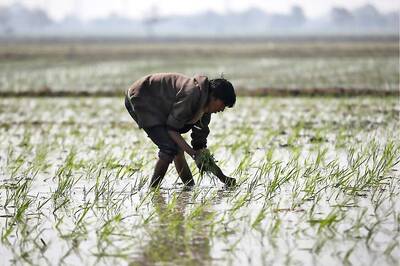 Govt Disburses Rs 15,841 Crore to 7.92 Crore Farmers Under PM-KISAN During COVID-19 Lockdown