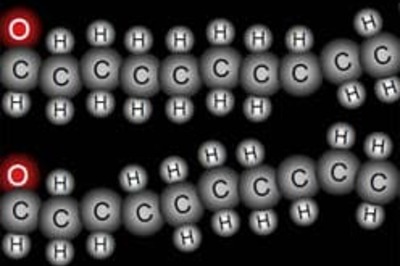 Science closer to creating artificial life