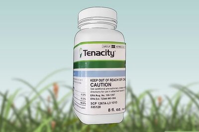 How to Kill Nimblewill